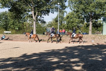 Bild 4 - Pony Akademie Turnier